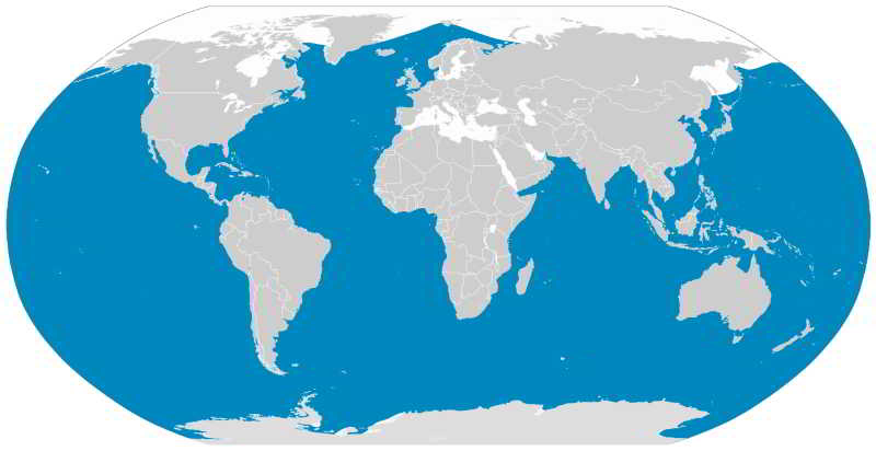 Blauwal Balaenoptera musculus Verbreitung Karte Vorkommen