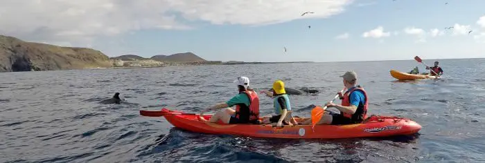 Kayaking XploreTenerife Teneriffa Sehenswürdigkeiten Kanaren Kanarische inseln urlaub aktivitäten