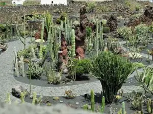 Kaktusgarten Jardin de cactus lanzarote sehenswürdigkeiten