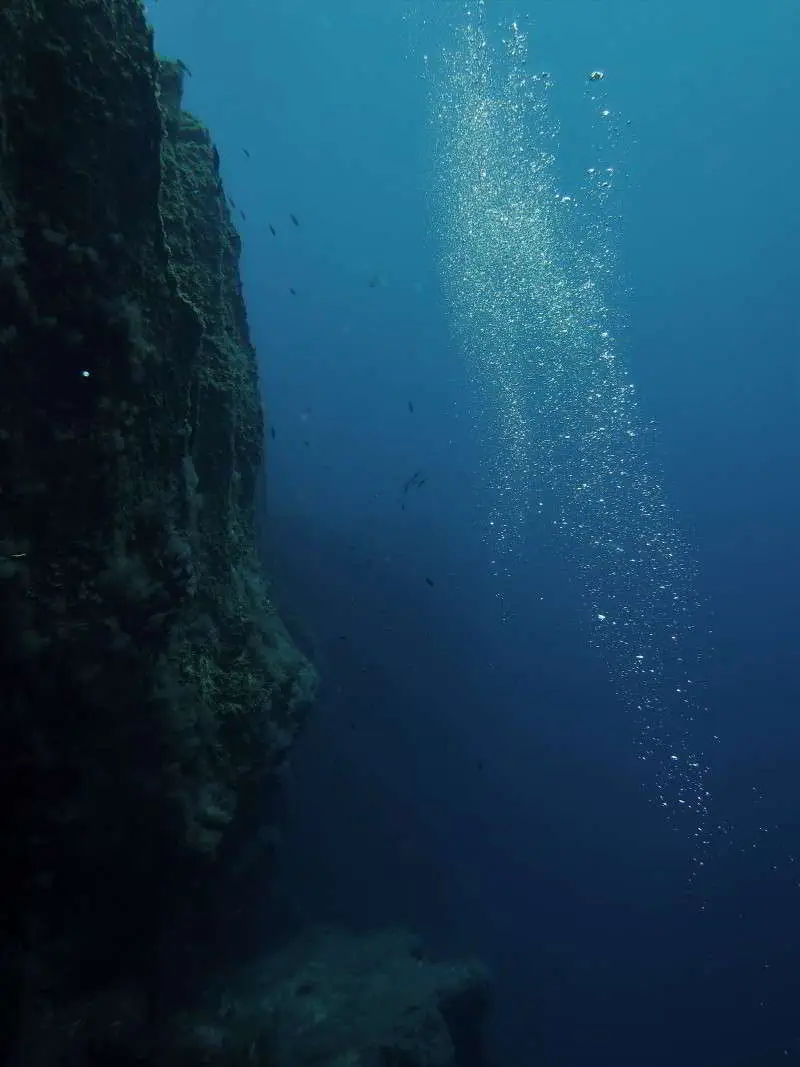 Punta Restinga tauchen el hierro steilwand la kanaren kanarische inseln atlantik