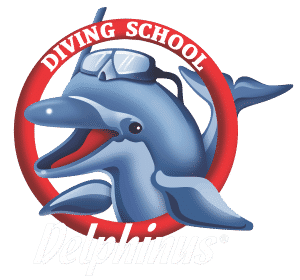 Delphinus Tauchcenter Fuerteventura tauchen urlaub corralejo costa calma tauchplätze tauchbasis
