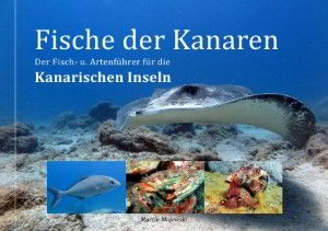 100 Fische der kanaren Buch Martin Majewski Fischführer Artenführer Kanarische Inslen